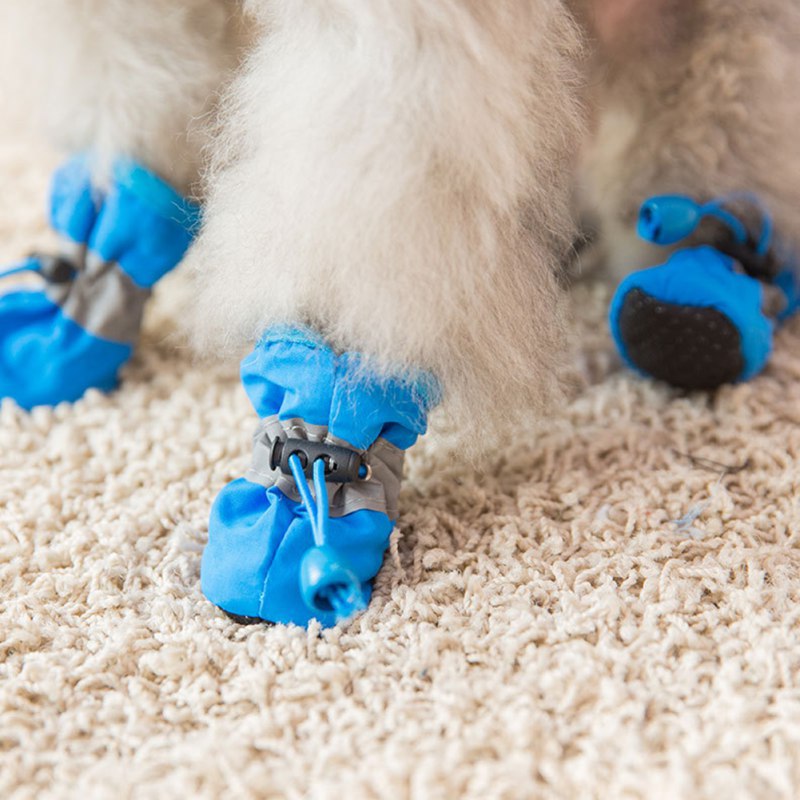 4 STKS Kleine Hond Schoenen Wa - Outdoor Camping Slippers recensie en prijs